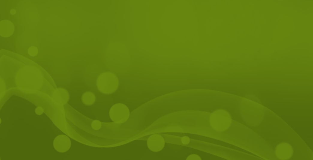 Profesjonalna obsluga